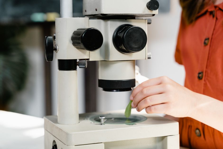 Dłoń umieszczająca zielony liść pod obiektywem mikroskopu laboratoryjnego.
